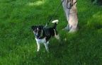BILD3923