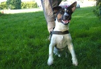 BILD3924