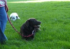 BILD3927