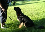 BILD3935