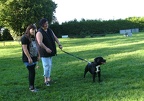 BILD3936