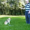 BILD3951