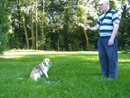 BILD3951