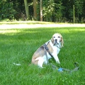 BILD3952