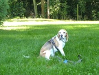 BILD3952