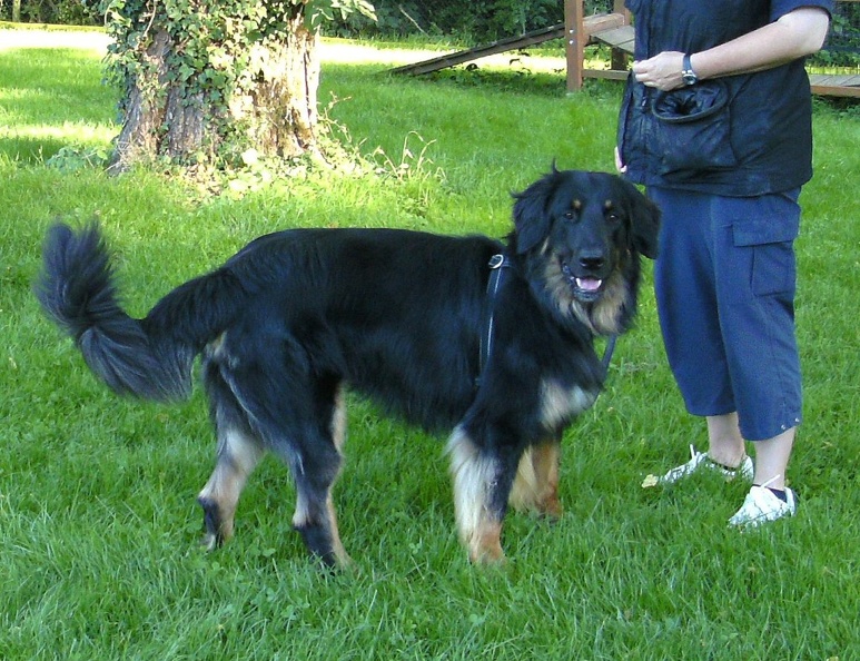 BILD3955.JPG