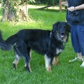 BILD3955