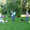 BILD3957