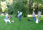 BILD3957