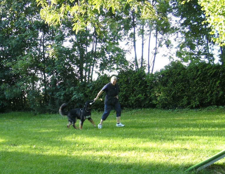 BILD3987.JPG