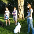 BILD4011