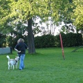 BILD4017