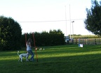 BILD4098