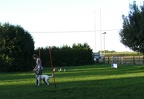 BILD4099