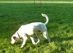 BILD4101