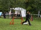 IMG 5096