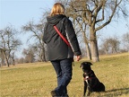 2012..01.15 Sozi Spaziergang (Zuffenhausen)