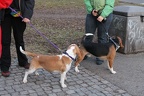 IMG 2056