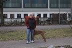 IMG 2060