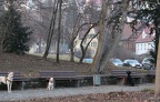 IMG 2075