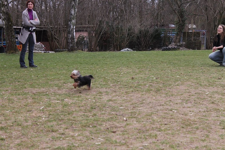 IMG_2985.jpeg