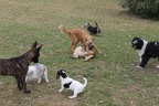 IMG 3002