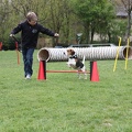 IMG 8996