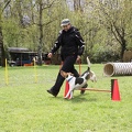 IMG 9024