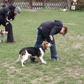 IMG 9040