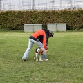 IMG 9045