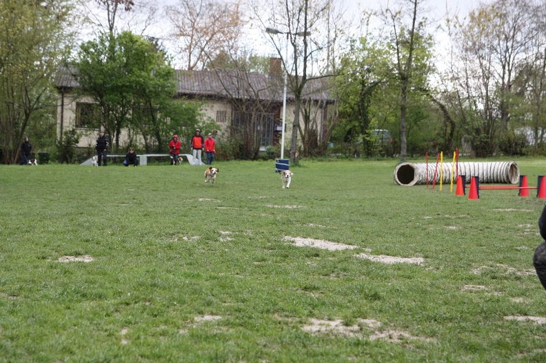 IMG_9059.JPG