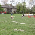 IMG 9062