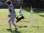 2013.07.13 Agility Training