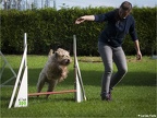 2014.08.30 Agility Hobbygruppe