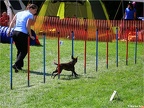 2014.09.14 Agility Maulwurfhügel Cup