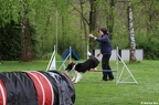 2017.04.29/30 Agility Seminar
