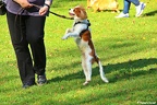 IMG 0273