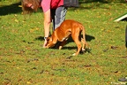 IMG 0276