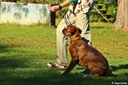 IMG 0287