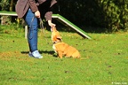 IMG 0288