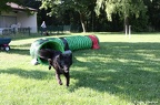 IMG 4733