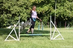 IMG 4739