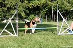 IMG 4742