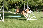 IMG 4743