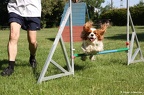 IMG 4765