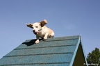 IMG 4773