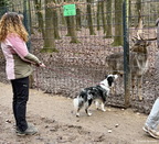 25-12-06-10-36-26-8370